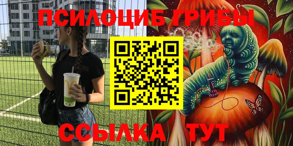 Псилоцибиновые грибы GOLDEN TEACHER  Псилоцибиновые грибы прущие грибы  купить наркотик  Реутов 