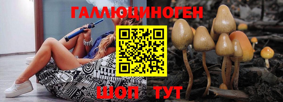 Псилоцибиновые грибы ЛСД Реутов