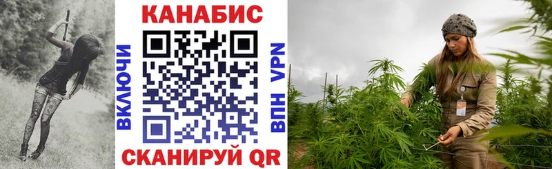 дарк нет наркотические препараты  мега ссылка  Реутов  Бошки марихуана гибрид 